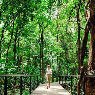  De Jardín Botánico de Medellín: Een groene oase vol tropische schoonheid!